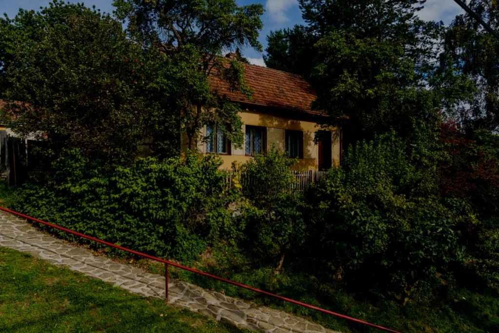 Prodej chalupy, Olšany, okres Vyškov